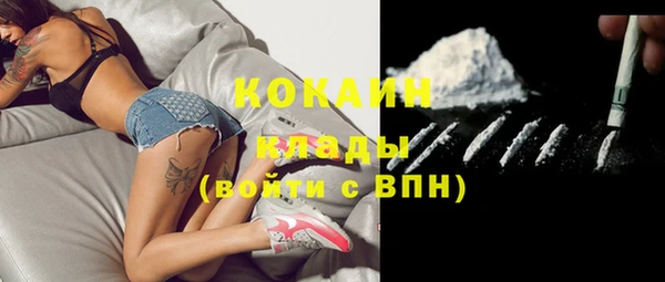 шишки Волосово