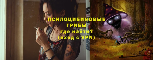 шишки Волосово